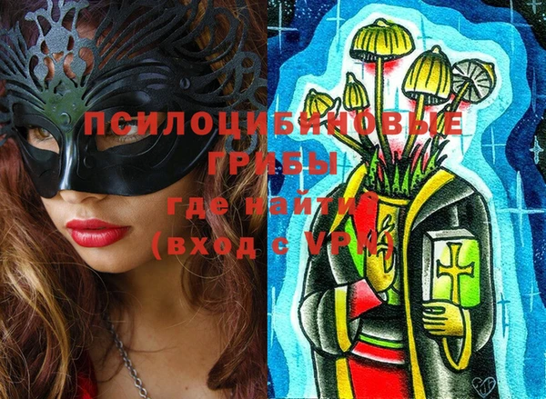 эйфоретик Белокуриха