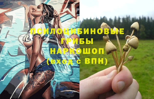 стаф Белоозёрский
